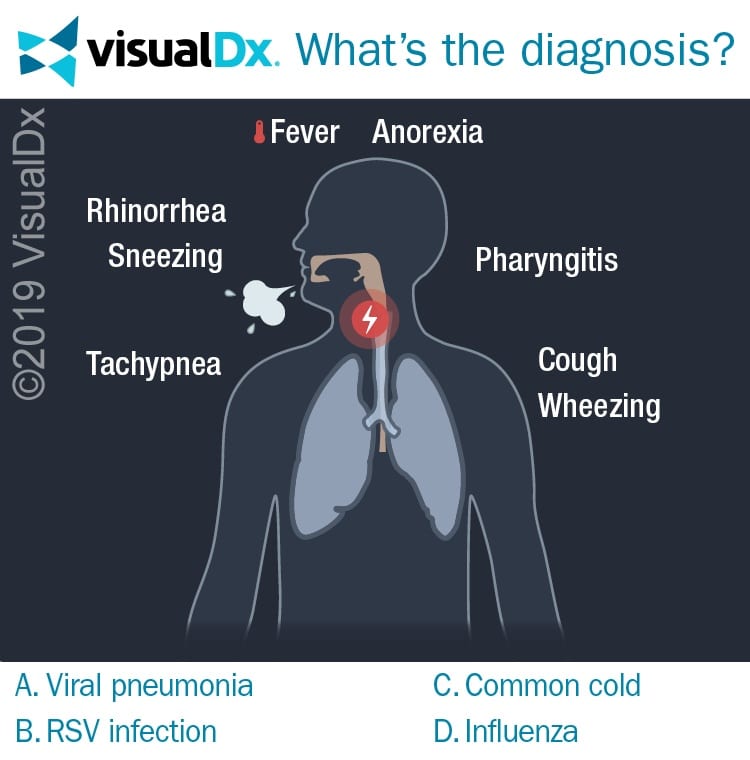 Infant with Productive Cough, Fever, Wheezing, Crackles Let’s